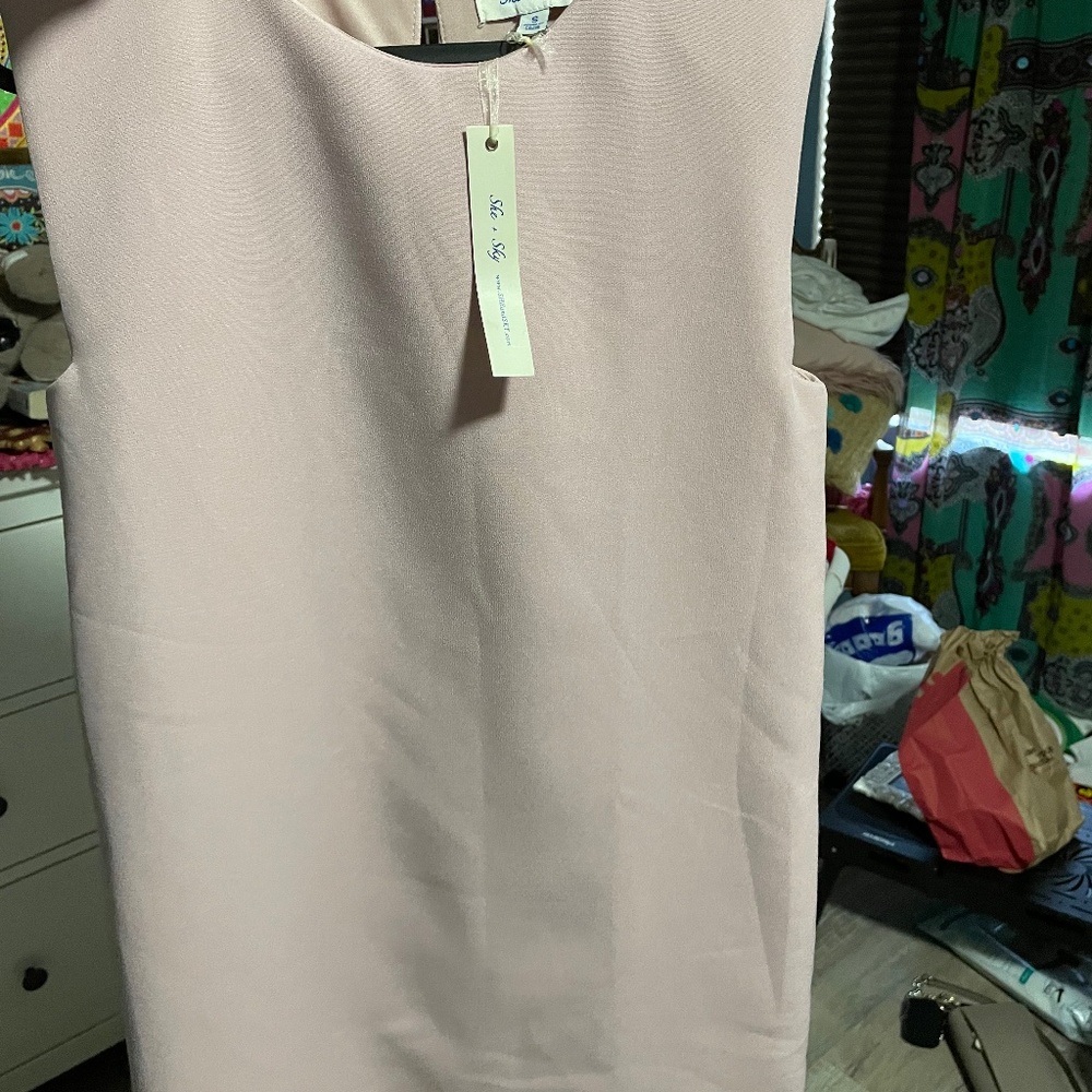 Blush sleeveless Dress